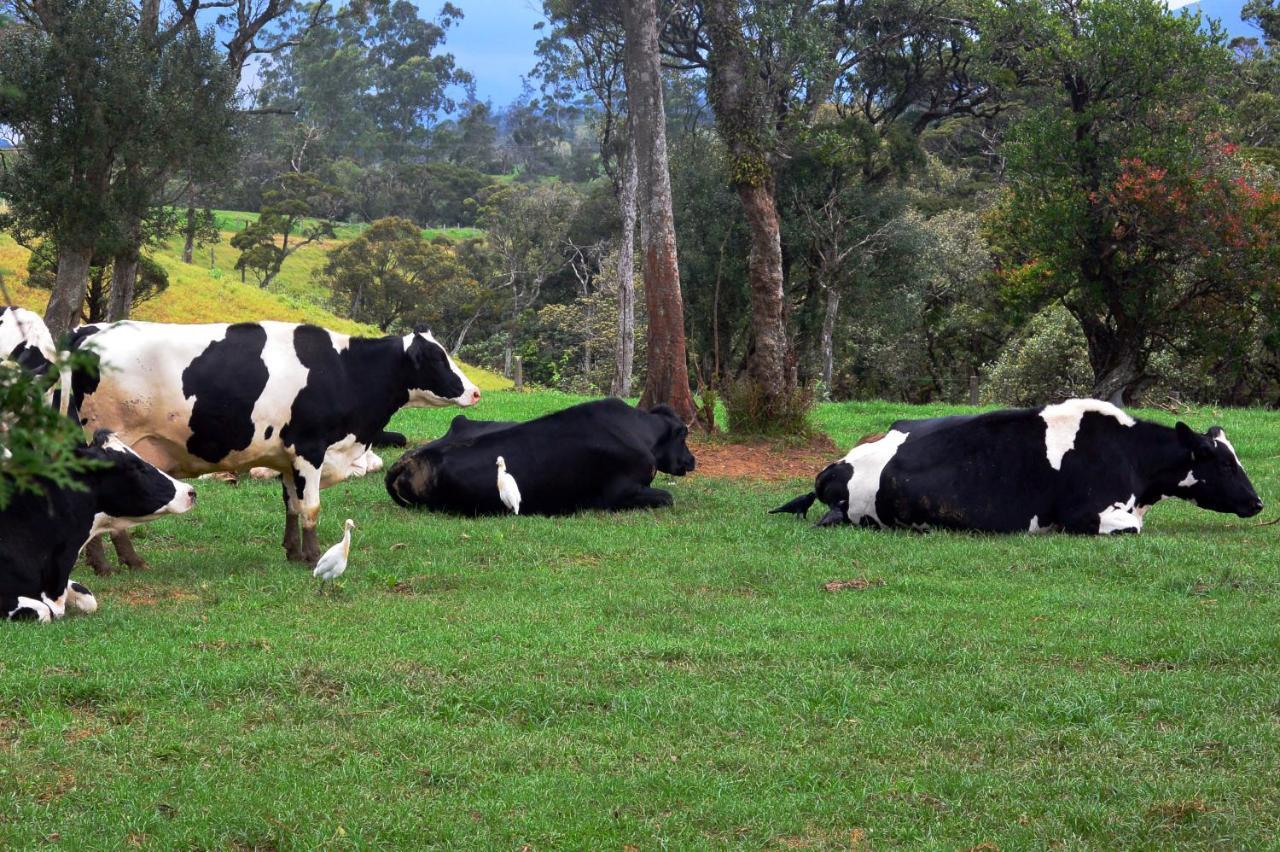 Fort Windshire Nuwara Eliya Zewnętrze zdjęcie